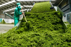 Hôm nay 22-12, tôn vinh Doanh nghiệp Xanh TPHCM năm 2025