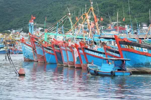 Nam Trung bộ: Ngư dân náo nức vươn khơi