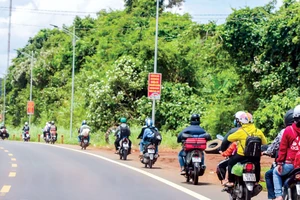 Tết về nhà