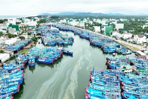 Miền Trung: Đầu xuân, khát lao động biển