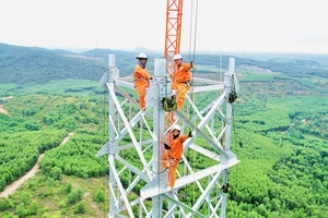 Chạy nước rút trên công trường đường dây 500kV mạch 3