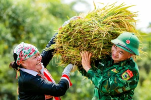 Nhật ký cuộc thi ngày 1-11-2024