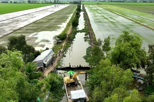 ĐBSCL: Ứng phó sớm với xâm nhập mặn