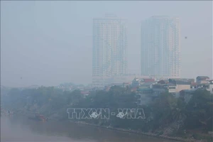 Thời tiết ngày 21-1: Bắc bộ và Trung bộ có sương mù, trời rét