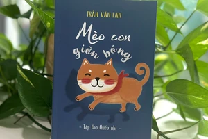 Mèo con giỡn bóng - Món quà dành cho trẻ nhỏ