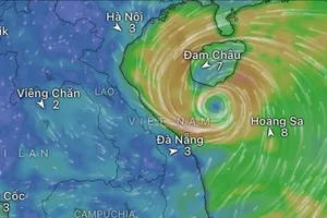Biển Đông có thể có bão sau ngày 25-8