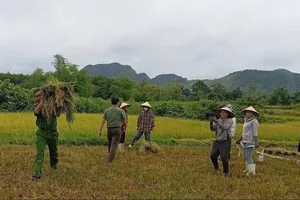 Miền Trung cấp tập ứng phó siêu bão