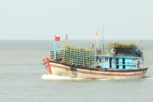 Tàu cá ngư dân TPHCM vươn khơi