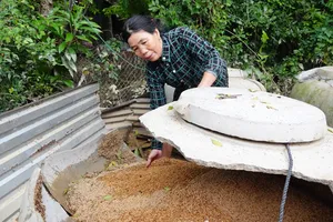 Người dân gượng dậy sau khi lũ rút