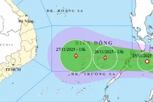 Ứng phó áp thấp nhiệt đới có khả năng thành bão