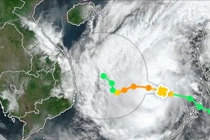 Phải lượng hóa các dự báo về gió, sóng, thông tin kịp thời cơn bão số 15