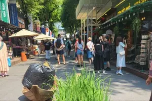 Nhiều hoạt động ý nghĩa tại sự kiện “Văn minh lúa nước Đồng bằng sông Cửu Long”