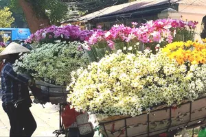 Nhớ Hà Nội, nhớ những chuyến xe hoa