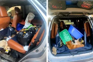 Bắt nhóm đối tượng trộm và tiêu thụ chó số lượng lớn