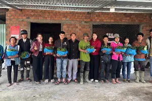 Đà Nẵng: Trao gần 35.000 cây sâm Ngọc Linh giống cho hộ nghèo xã Trà Linh