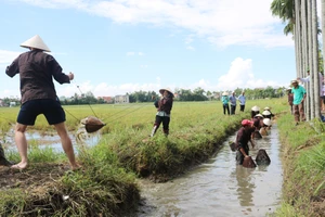 Du lịch làm nông dân