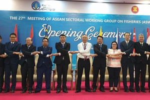 Các quốc gia ASEAN đã có nhiều sáng kiến để cùng chung tay xây dựng cơ chế phát triển nghề cá khu vực hiện đại