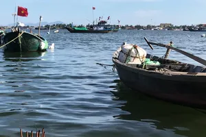 Hạ nguồn Thu Bồn sụt lún nghiêm trọng