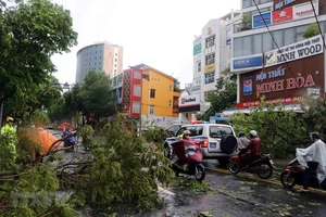 Bão số 5: 2 người chết, mất tích; 31 người bị thương, 2.447 nhà bị tốc mái