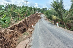 Đề xuất thành lập tổ kiểm tra nguyên nhân sự cố sạt lở tuyến đường bờ bắc cặp sông Vàm Cỏ Tây