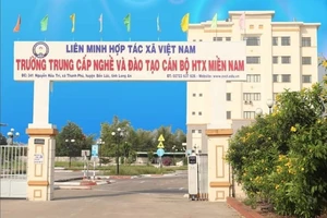 Thu hồi giấy phép đào tạo lái xe của Trường trung cấp nghề và đào tạo cán bộ HTX miền Nam