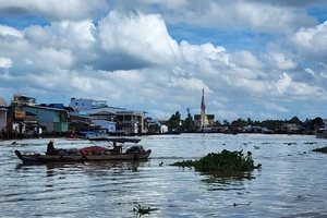 Mai một chợ nổi Cái Bè