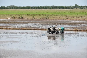 Nông dân vùng Đồng Tháp Mười khẩn trương cày trục đất đón lũ để tháo chua, rửa phèn