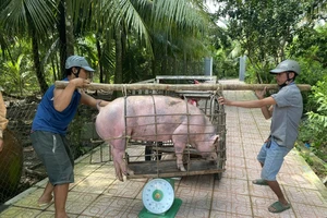 Cần ban hành quy chuẩn kỹ thuật quốc gia đối với cơ sở giết mổ nhỏ lẻ