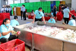 Đồng Tháp: Không để xảy ra tình trạng chậm đóng Bảo hiểm xã hội