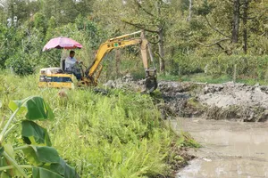 Đồng Tháp: Dự kiến xuống giống khoảng 227.000 ha trong Vụ Đông Xuân 2025 – 2026