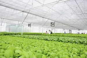 Đồng Tháp nhân rộng mô hình nông nghiệp thông minh gắn với sản phẩm chủ lực