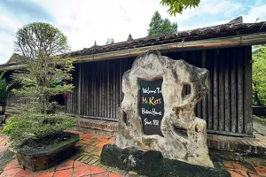 Đồng Tháp khai mạc Lễ hội Văn hóa - Du lịch Làng cổ Đông Hòa Hiệp 