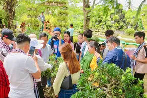 Độc đáo Bảo tàng Bonsai lớn nhất Việt Nam tại Sa Đéc