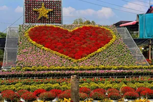 Đồng Tháp: Sẵn sàng cho Festival Hoa - Kiểng Sa Đéc lần thứ II