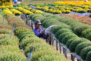 Mỗi nhà vườn là một “đại sứ” của Làng hoa Sa Đéc