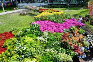 Độc đáo bản đồ Việt Nam kết tinh từ 1.000 giống hoa tại Sa Đéc