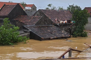 Mưa lũ đang dập Quảng Bình tơi bời