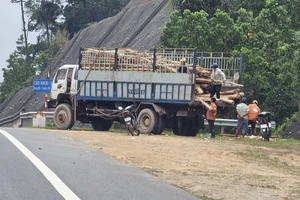 Keo tràm bốc bên đường cao tốc phóng từ taluy dương xuống rất nguy hiểm