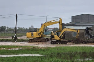 Vụ tự ý lấp 10ha ao hồ nuôi trồng thủy sản: Giao cơ quan chuyên môn tham mưu Chủ tịch UBND tỉnh xử phạt