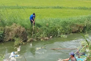 Vớt xác heo hết chôn lấp ở xã Đông Trạch