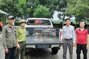 Trao hai chim niệc nâu quý hiếm cho Vườn quốc gia Phong Nha – Kẻ Bàng