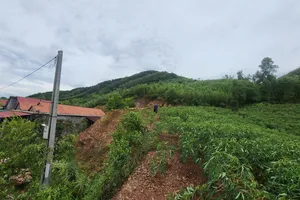 Sạt lở khu vực đồi Phòng Không