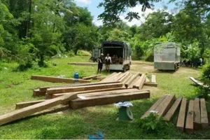 Khởi tố 10 bị can trong hai vụ vận chuyển gỗ quý từ Lào về Quảng Trị