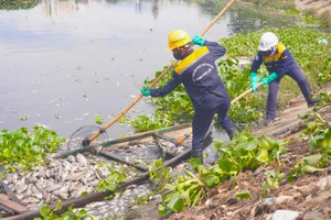 Các công nhân dùng thuyền để vớt xác cá trên hồ điều tiết