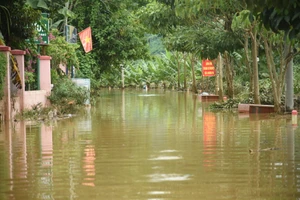 Ghi nhận vào sáng 19-9, tại thôn Nam Yên, xã Hòa Bắc (huyện Hòa Vang, TP Đà Nẵng), nước lũ bủa vây khu dân cư ven sông, có nơi cao đến gần 1 mét