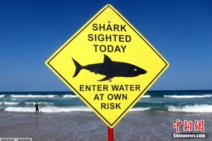 悉尼多處海灘自17日起關閉。（圖源：互聯網）