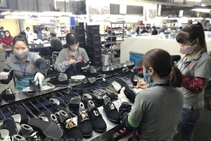 越南鞋品銷往許多國家及地區。