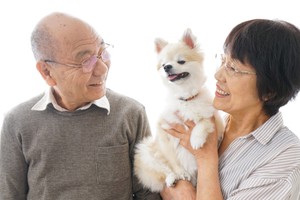 （示意圖源：互聯網）