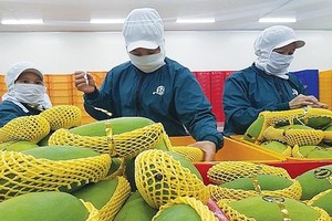 （示意圖源：互聯網）