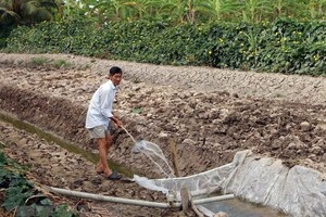 （示意圖源：互聯網）